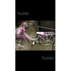 Bici bambina 24