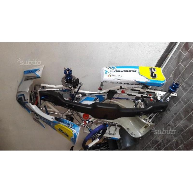 Ricciardo kart