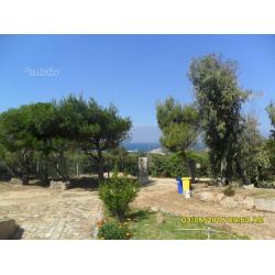 Case vacanze a Cala Sapone Giugno 2-4 posti