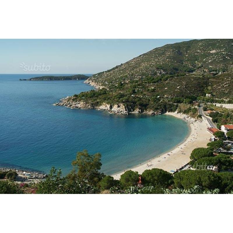 Seccheto, Isola d'Elba - Case vicinissime al mare