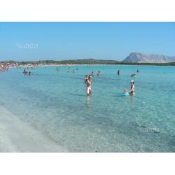 Sardegna