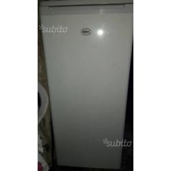 Frigo Curtiss