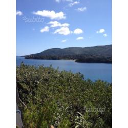 Monolocale sul mare a porto azzurro