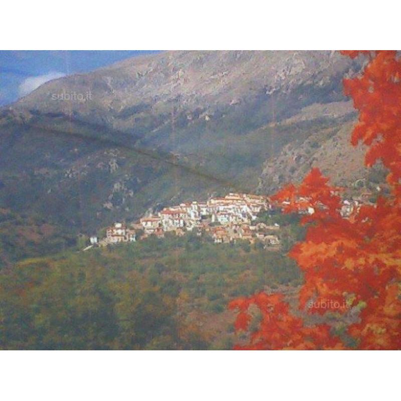 Appartamenti in montagna