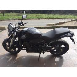 Honda Hornet - 2010