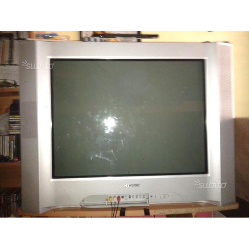 Tv sony 29 pollici