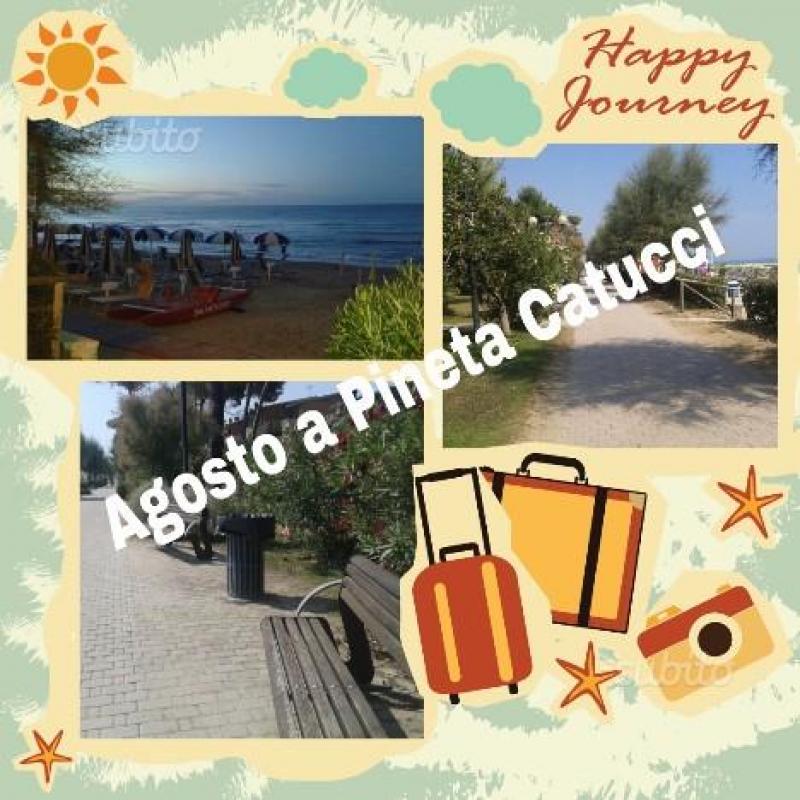 Vacanze in Pineta Catucci