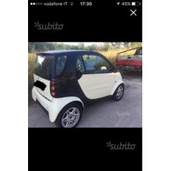 Smart 600 ie cat passion automatica