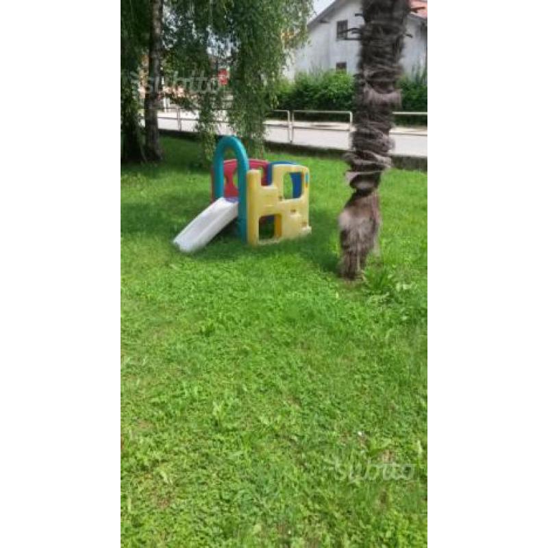 Giochi per bambini da giardino