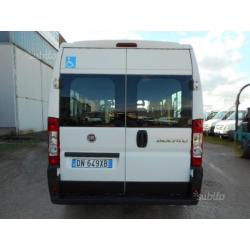 FIAT DUCATO TRASPORTO DISABILI  ANNO  KM 236595