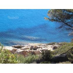 L'isola d'Elba in luglio è davvero stupenda