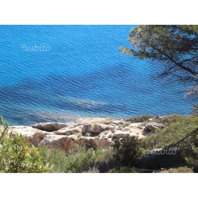 L'isola d'Elba in luglio è davvero stupenda