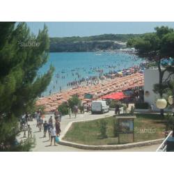 Torre dell'orso varie soluzioni