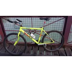 Bici OLMO 100euro