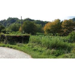 Carasco rustico indipendente con giardino e posti