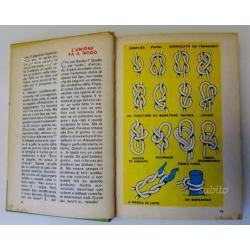 Manuale delle giovani marmotte W. Disney 1978