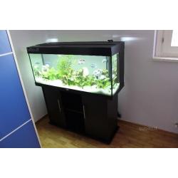 Acquario juwel rio 240 con supporto e accessori