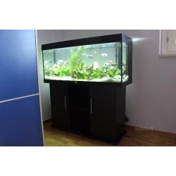 Acquario juwel rio 240 con supporto e accessori