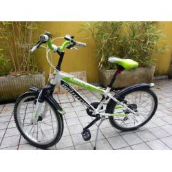 Bici Bottecchia