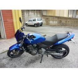 Honda hornet