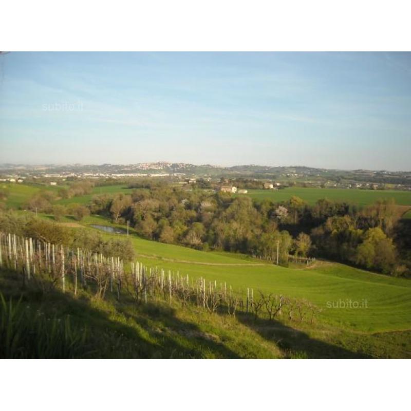 Terreno agricolo + fabbricati rurali