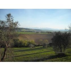 Terreno agricolo + fabbricati rurali