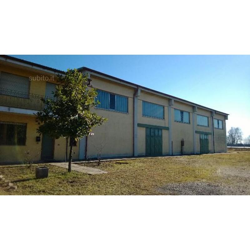 Capannoni,Uffici,Casa su Area 6150mq,Edificabili