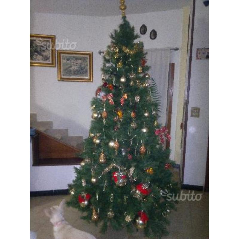 Albero di natale