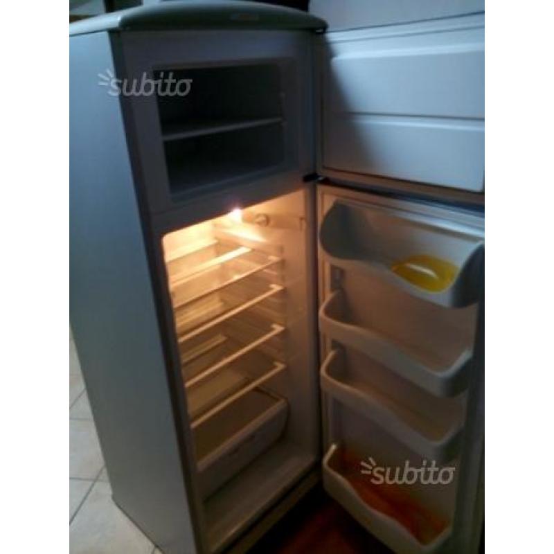 Frigo rex