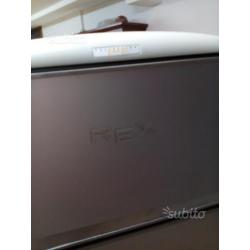 Frigo rex