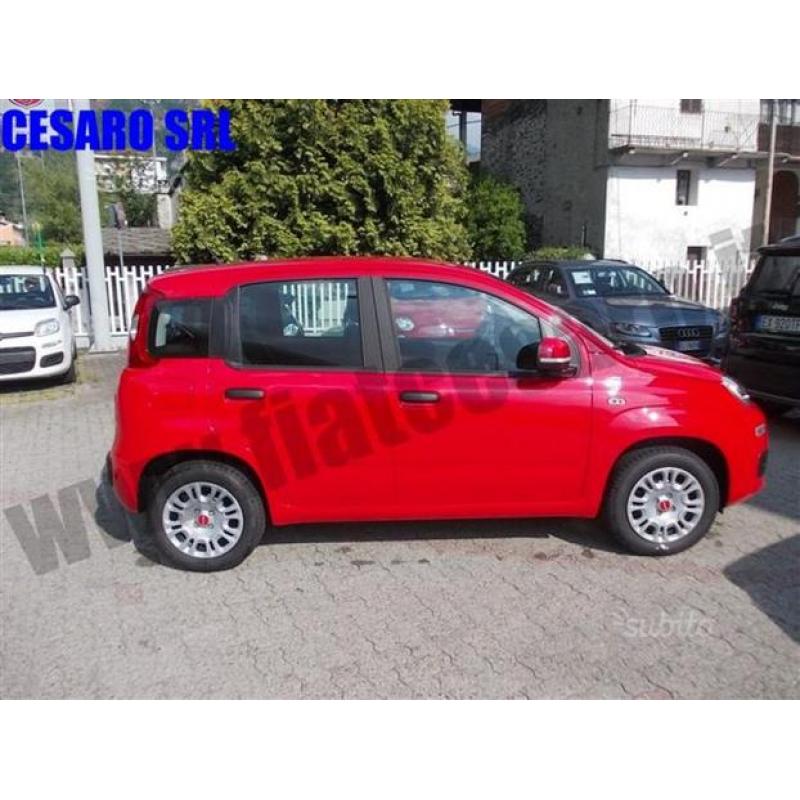 FIAT Panda 1.2 Pandazzurri