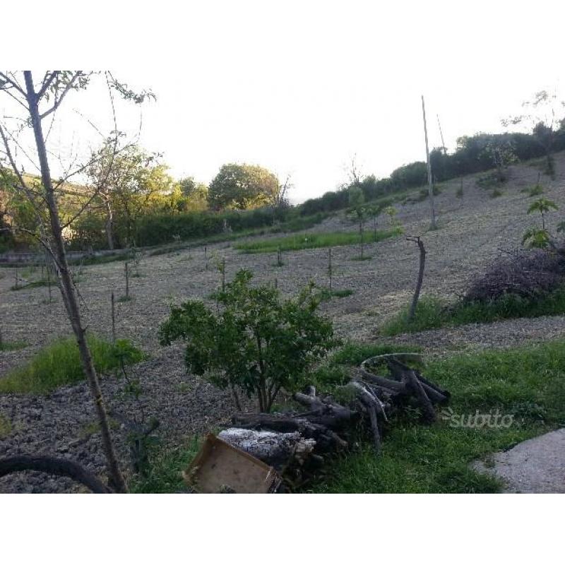 Terreno Agricolo con casa a 15 km da Cosenza