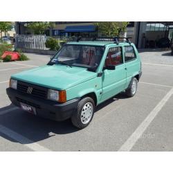 Fiat Panda 1100 i.e. cat Young