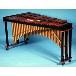 Marimba studio 49