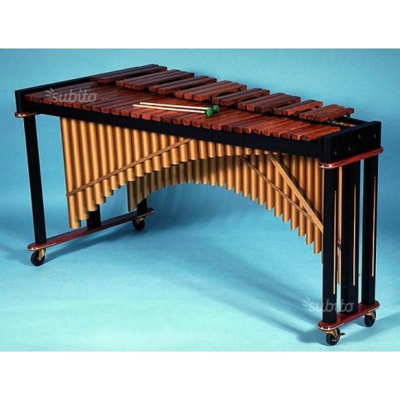 Marimba studio 49