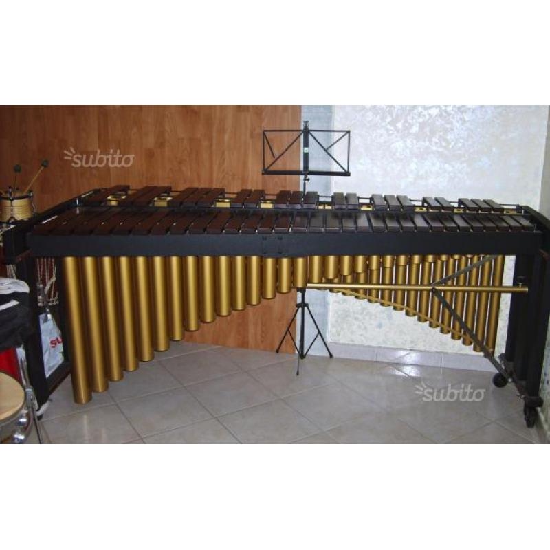 Marimba studio 49