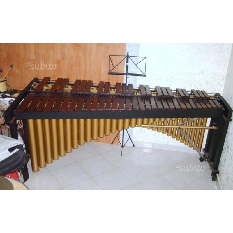 Marimba studio 49