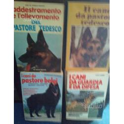 Libri cani